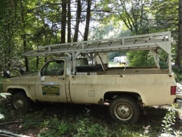 1981 Chevrolet C/K Truck