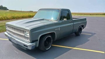 1981 Chevrolet C/K Truck