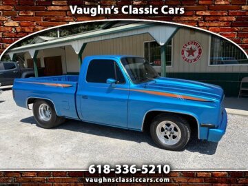 1981 Chevrolet C/K Truck 2WD Regular Cab 1500