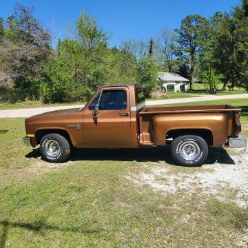 1981 Chevrolet C/K Truck Custom Deluxe