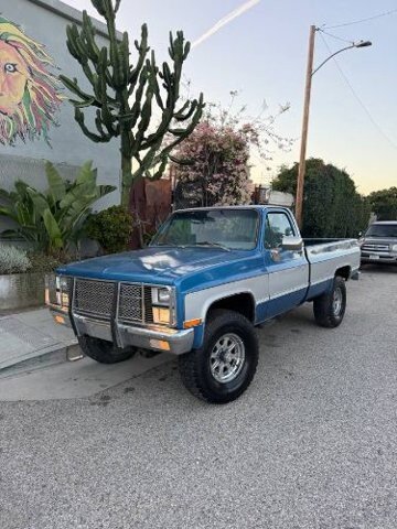 1981 Chevrolet C/K Truck