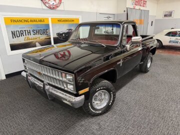 1981 Chevrolet C/K Truck