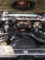 Thumbnail Photo 3 for 1981 Chevrolet Camaro Z28