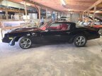 Thumbnail Photo 6 for 1981 Chevrolet Camaro Z28
