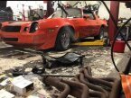 Thumbnail Photo 3 for 1981 Chevrolet Camaro Z28