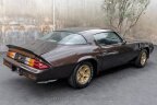 Thumbnail Photo 4 for 1981 Chevrolet Camaro Z28