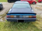 Thumbnail Photo 1 for 1981 Chevrolet Camaro Z28