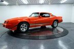Thumbnail Photo 5 for 1981 Chevrolet Camaro