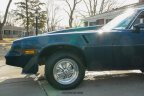 Thumbnail Photo 4 for 1981 Chevrolet Camaro Z28