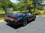 Thumbnail Photo 3 for 1981 Chevrolet Camaro Z28