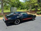 Thumbnail Photo 1 for 1981 Chevrolet Camaro Z28