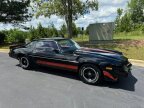 Thumbnail Photo 2 for 1981 Chevrolet Camaro Z28