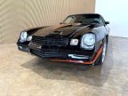 Thumbnail Photo 4 for 1981 Chevrolet Camaro Z28