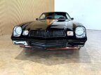 Thumbnail Photo 3 for 1981 Chevrolet Camaro Z28