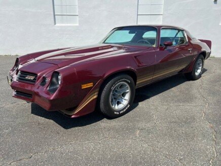 Photo 1 for 1981 Chevrolet Camaro Coupe