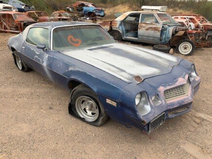 Photo 1 for 1981 Chevrolet Camaro