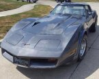 Thumbnail Photo 1 for 1981 Chevrolet Corvette for Sale by Owner