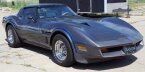 Thumbnail Photo 3 for 1981 Chevrolet Corvette for Sale by Owner