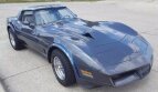 Thumbnail Photo 2 for 1981 Chevrolet Corvette for Sale by Owner