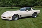 Thumbnail Photo 6 for 1981 Chevrolet Corvette