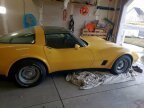 Thumbnail Photo 6 for 1981 Chevrolet Corvette