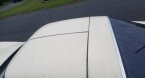 Thumbnail Photo 6 for 1981 Chevrolet Corvette