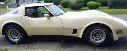 Photo 1 for 1981 Chevrolet Corvette
