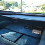 Thumbnail Photo 5 for 1981 Chevrolet Corvette