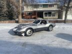 Thumbnail Photo 5 for 1981 Chevrolet Corvette