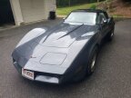 Thumbnail Photo 5 for 1981 Chevrolet Corvette