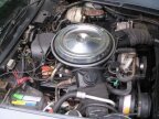 Thumbnail Photo 6 for 1981 Chevrolet Corvette