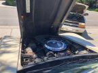 Thumbnail Photo 3 for 1981 Chevrolet Corvette