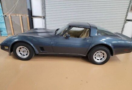 Photo 1 for 1981 Chevrolet Corvette
