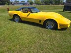 Thumbnail Photo 1 for 1981 Chevrolet Corvette