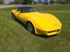 Thumbnail Photo 5 for 1981 Chevrolet Corvette