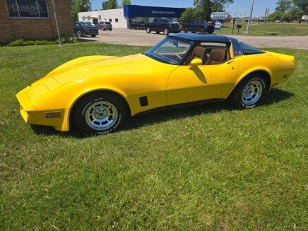 Photo 1 for 1981 Chevrolet Corvette