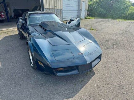 Photo 1 for 1981 Chevrolet Corvette