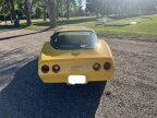 Thumbnail Photo 5 for 1981 Chevrolet Corvette