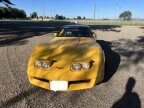 Thumbnail Photo 6 for 1981 Chevrolet Corvette
