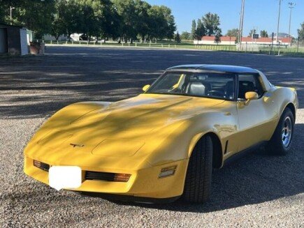 Photo 1 for 1981 Chevrolet Corvette