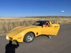 Thumbnail Photo 4 for 1981 Chevrolet Corvette
