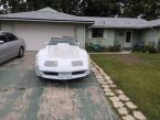 Thumbnail Photo 3 for 1981 Chevrolet Corvette