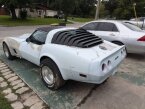 Thumbnail Photo 1 for 1981 Chevrolet Corvette