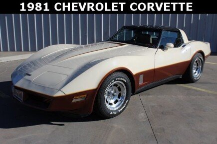 Photo 1 for 1981 Chevrolet Corvette