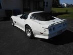 Thumbnail Photo 5 for 1981 Chevrolet Corvette