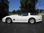 Thumbnail Photo 4 for 1981 Chevrolet Corvette