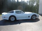 Thumbnail Photo 6 for 1981 Chevrolet Corvette