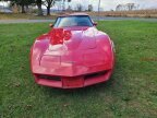 Thumbnail Photo 4 for 1981 Chevrolet Corvette