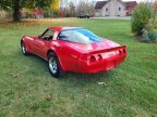 Thumbnail Photo 1 for 1981 Chevrolet Corvette