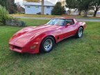 Thumbnail Photo 3 for 1981 Chevrolet Corvette